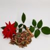 Healing Winter Spice-Floral