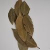 Organic Bay Leaf