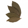 Organic Bay Leaf