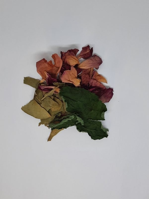 Vishudda speak out Vishuddha-Throat Chakra-Speak Out