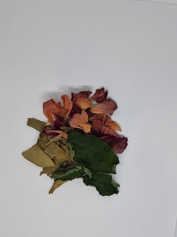 Vishudda speak out(1) Vishuddha-Throat Chakra-Speak Out