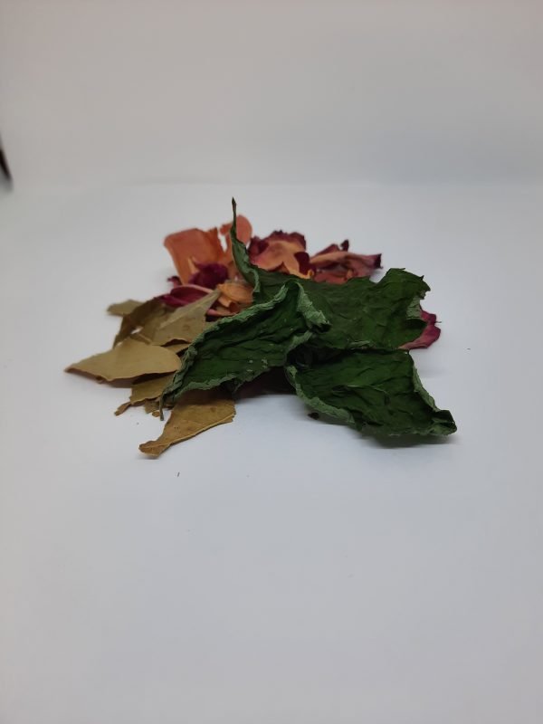 Vishudda speak out(2) Vishuddha-Throat Chakra-Speak Out