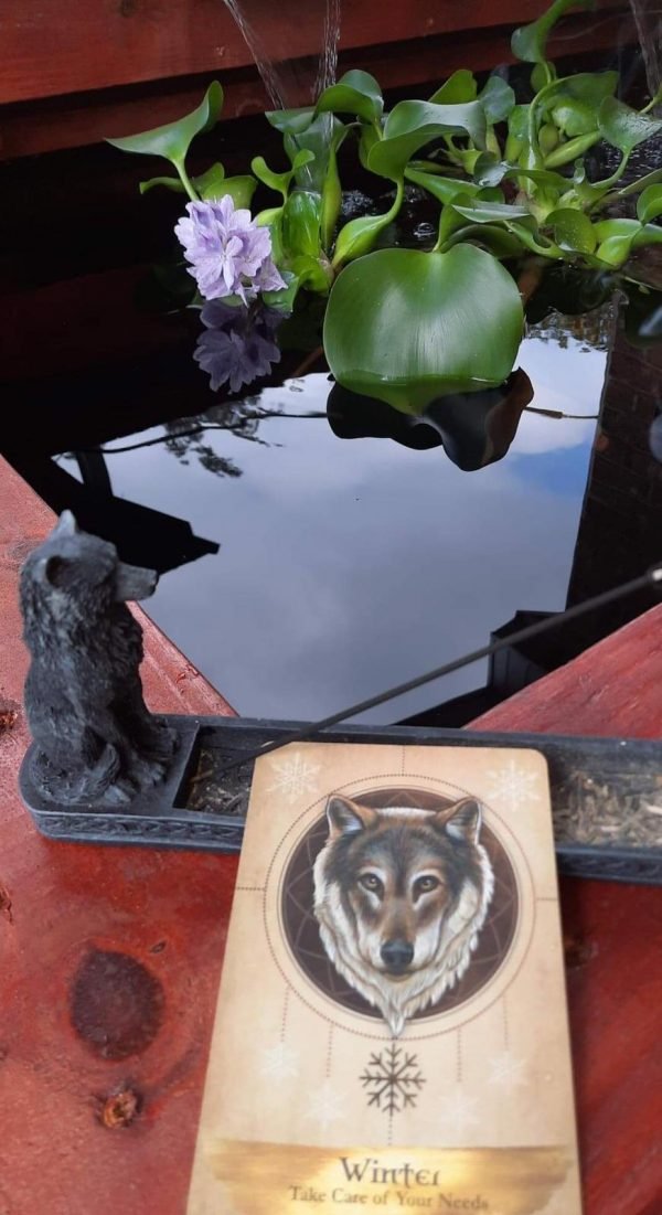 Gold Divination Subscription