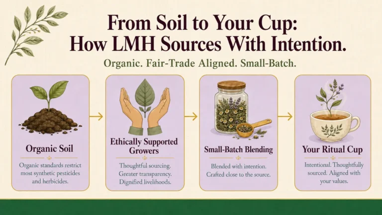 Why Sustainable Sourcing and Organic Ingredients Are Non-Negotiable at LMH Custom Teas & Herbs 1 An infographic titled 'From Soil to Your Cup' illustrating four stages of LMH's intentional sourcing: Organic Soil, Ethically Supported Growers, Small-Batch Blending, and Your Ritual Cup, each with a detailed illustration, title, and description.