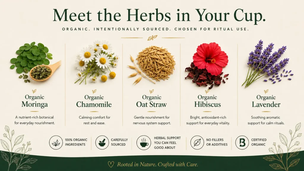 Why Sustainable Sourcing and Organic Ingredients Are Non-Negotiable at LMH Custom Teas & Herbs 3 Infographic titled 'Meet the Herbs in Your Cup' featuring illustrations and descriptions of Organic Moringa, Chamomile, Oat Straw, Hibiscus, and Lavender.